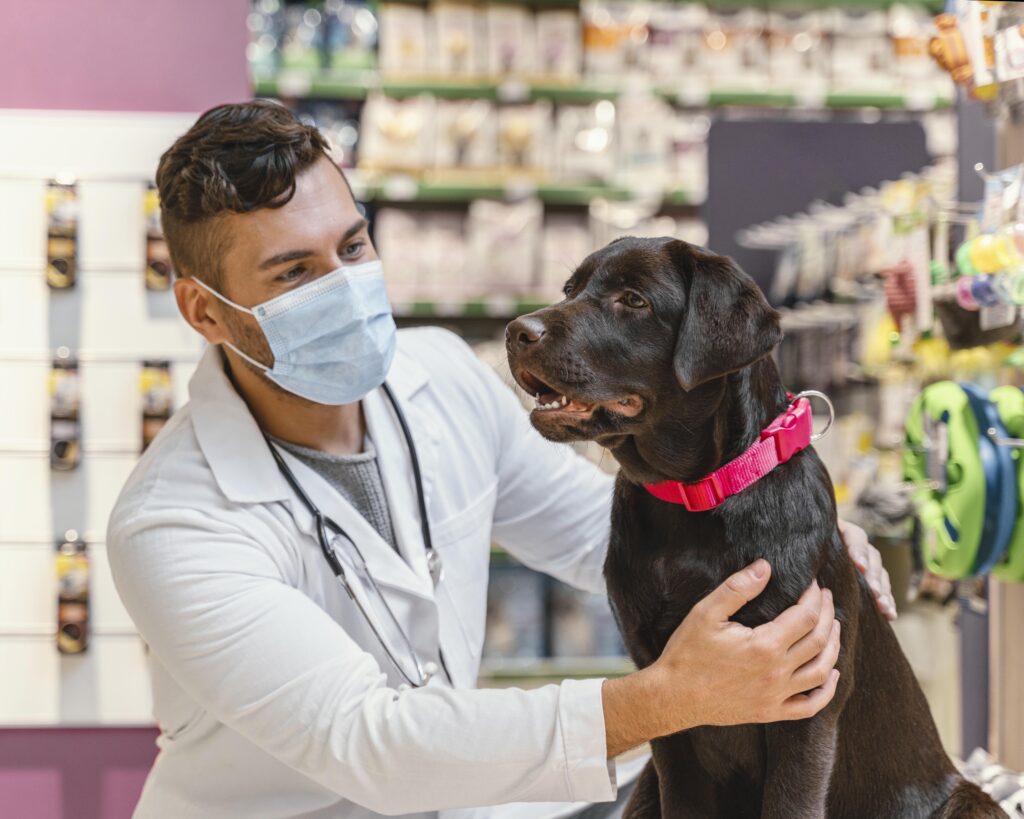 Importância do CRM para Clínicas Veterinárias: Construa Relacionamentos Duradouros com seus Clientes