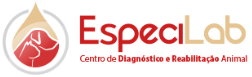 Logo Cliente - connectvets - EspeciaLab