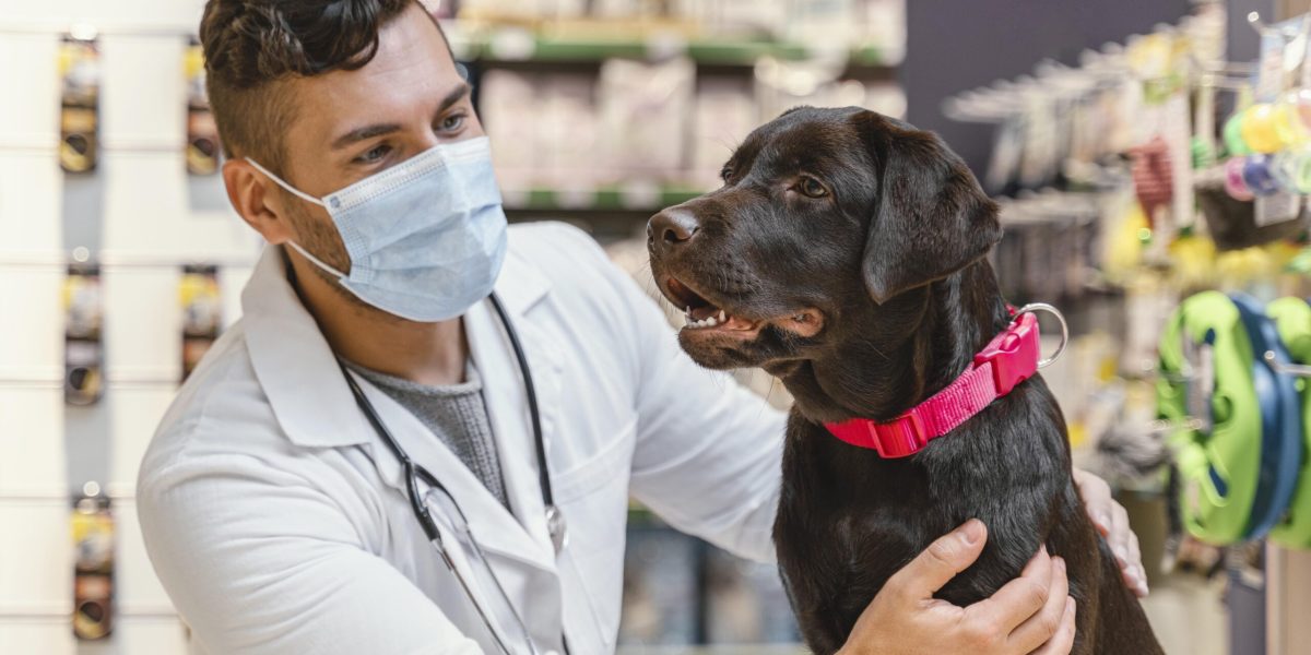 Importância do CRM para Clínicas Veterinárias: Construa Relacionamentos Duradouros com seus Clientes Importância do CRM para Clínicas Veterinárias: Construa Relacionamentos Duradouros com seus Clientes