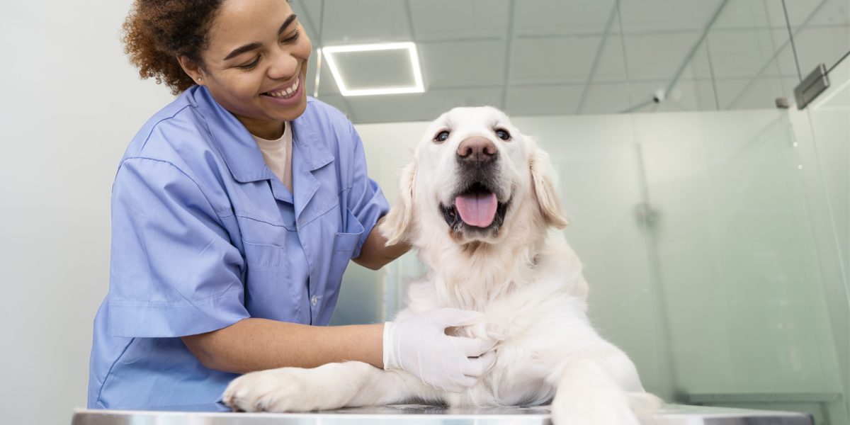 medium-shot-smiley-doctor-checking-dog medium-shot-smiley-doctor-checking-dog