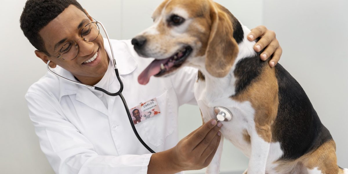 medium-shot-veterinarian-checking-dog medium-shot-veterinarian-checking-dog