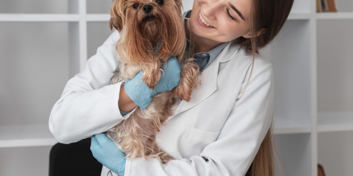 veterinarian-check-ing-puppy-s-health veterinarian-check-ing-puppy-s-health